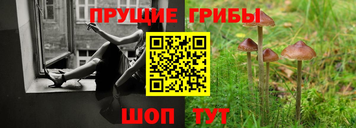 Псилоцибиновые грибы MAGIC MUSHROOMS  Галлюциногенные грибы мухоморы  Вход с VPN  Качканар 