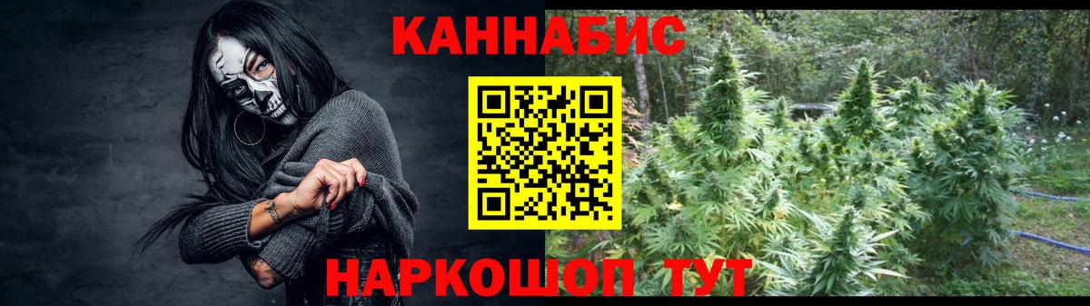 Каннабис Amnesia  Бошки Шишки тримм  Качканар  Вход с VPN  Бошки Шишки гибрид  Марихуана планчик 